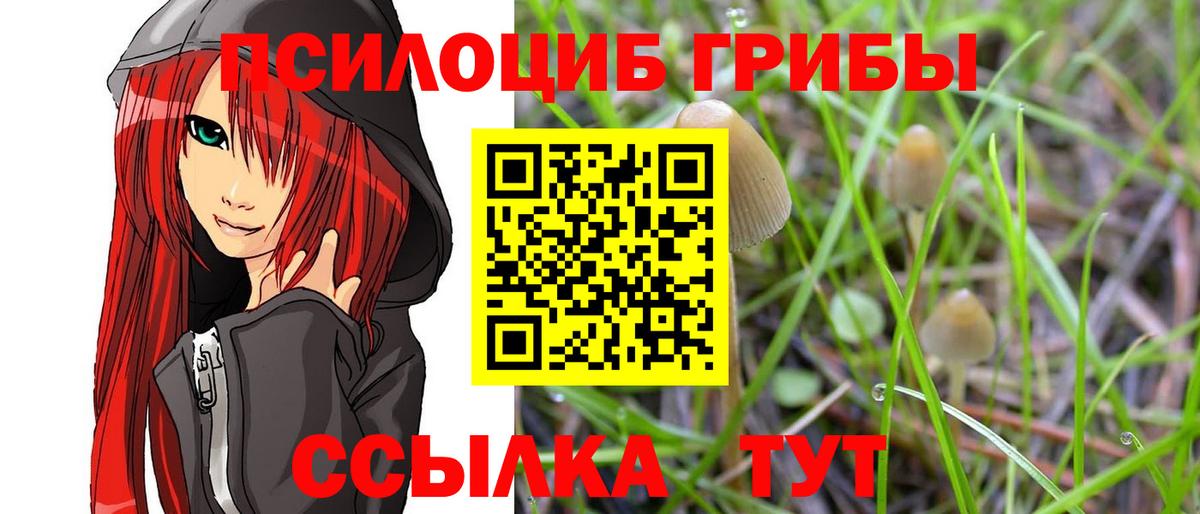 Галлюциногенные грибы прущие грибы  Вход с VPN  Дедовск 